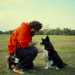 Armando Velluso, noto come Il fotografo dei cani  specializzato nei ritratti di bestiole domestiche coi propri padroni. Non solo cani, a dispetto del suo nome darte...